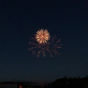 精品录音国产一区在线
